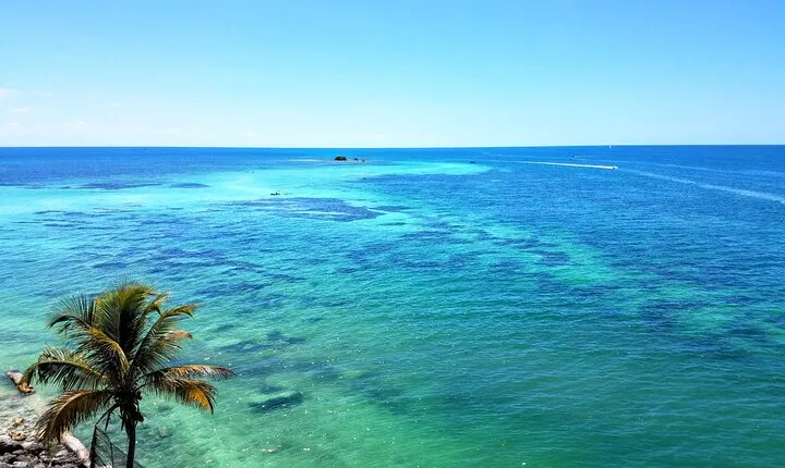 Private Full-Day Tour of Florida Keys from Miami/FLL to Key West