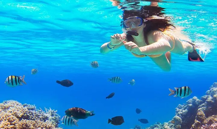 Unforgettable Marsa Mubarak Snorkeling Trip & Lunch – Marsa Alam