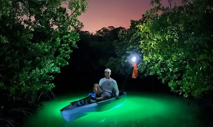 Naples Guided Sunset Kayak Tour Activity