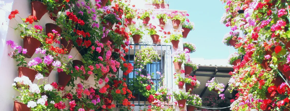 Full day Tour of Cordoba during the Patio Festival