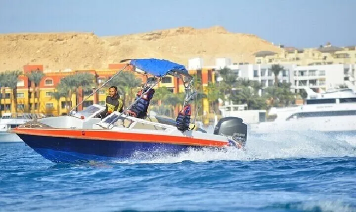 Semi Private Dolphin Swim by Speedboat & Transfer-Hurghada