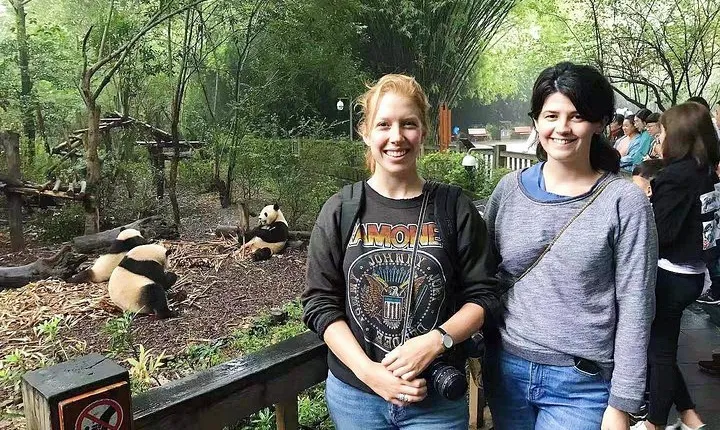 Visiting Chengdu Panda Base in a Half Day