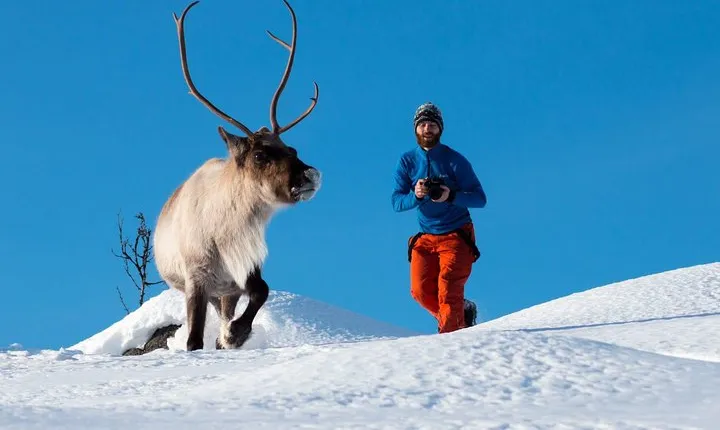 Arctic Nature Photography Sightseeing Tour from Tromso