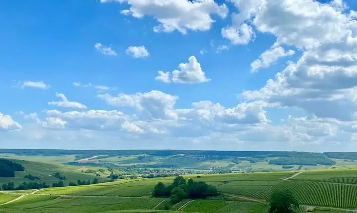 Private Champagne Ayala Cellars & Pressoria Trip from Paris