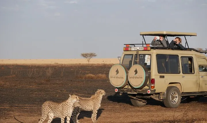 8 Days Mid-Range Tanzania Safari Private Tour