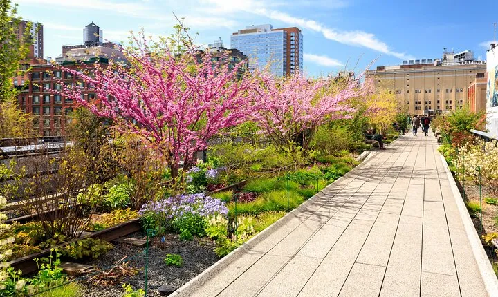 Private Tour of High Line, Chelsea, Hudson Yards and Edge 