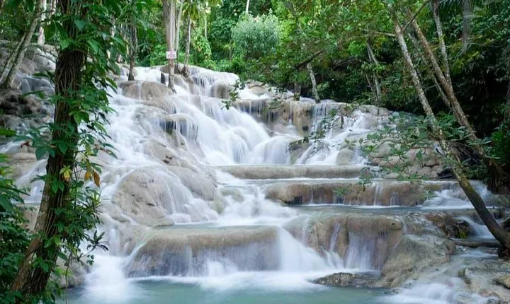 Dunns River Falls and Park Private [Transportation service]