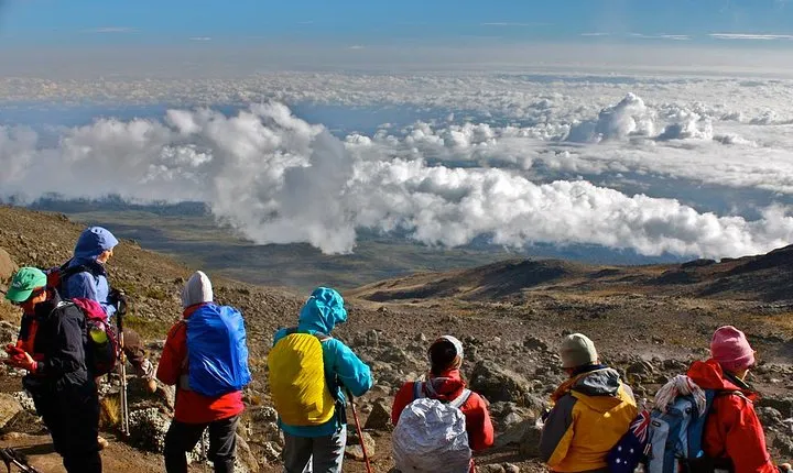 8 Days Kilimanjaro Climbing - Lemosho Route