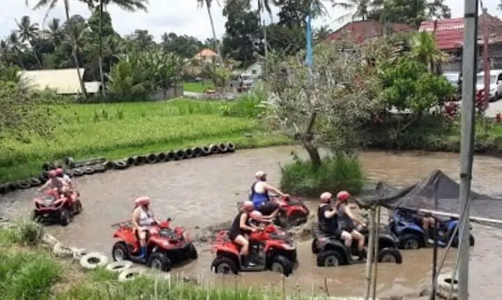 Full-Day Private Ubud ATV and Tubing Adventure