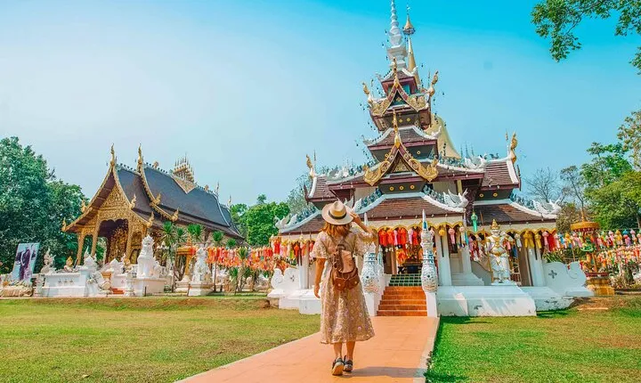 Chiang Mai Mon Jam Highlands and Pongyang Full-Day Private Tour