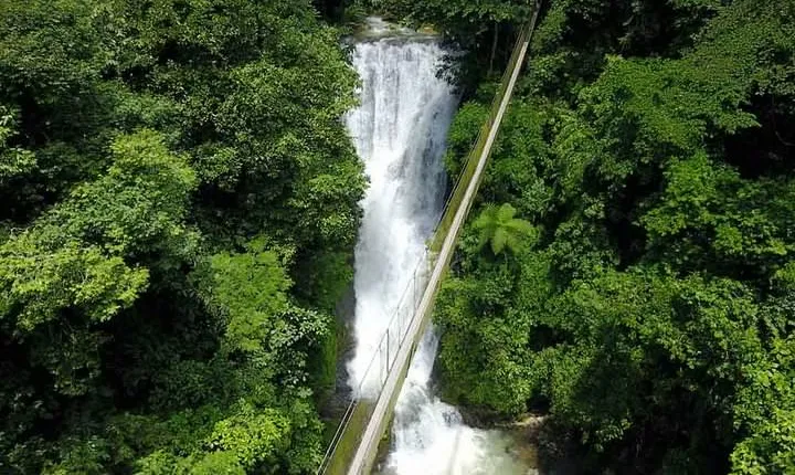 Campesinos Waterfalls and Hanging Bridges from Manuel Antonio