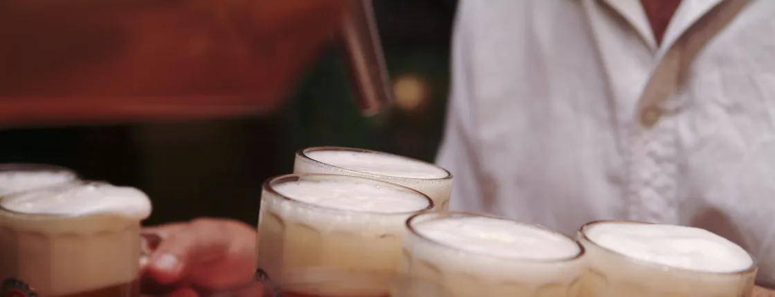 Brewery and Hofbräuhaus tour in Munich