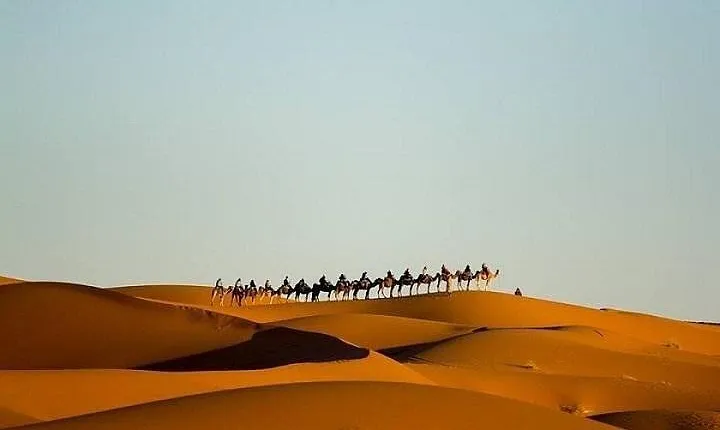 Night In Merzouga Desert, Camel Ride, Tent With Private Bathroom