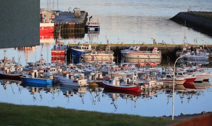 Go sea angling