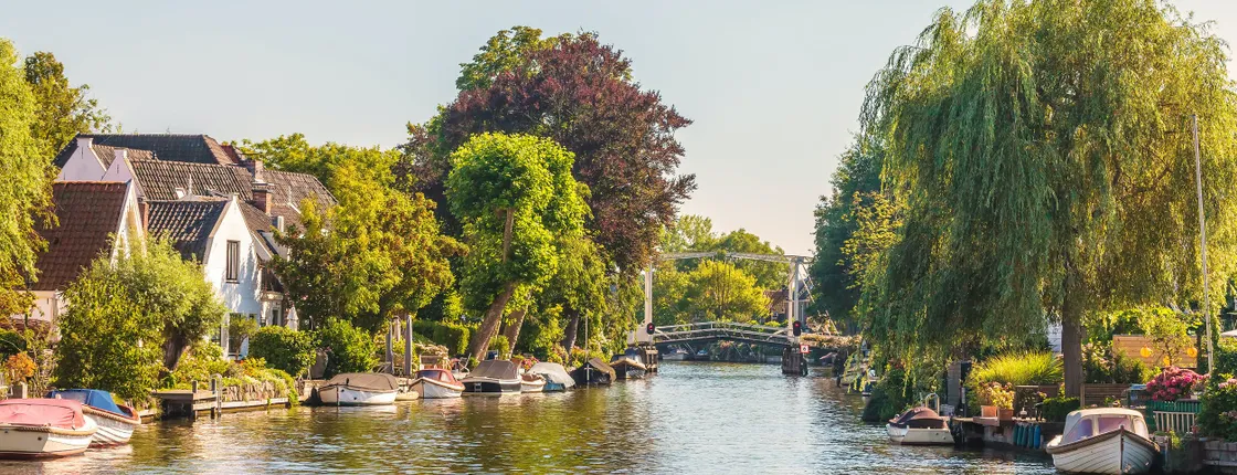 Private afternoon high tea cruise on Vecht River from Amsterdam