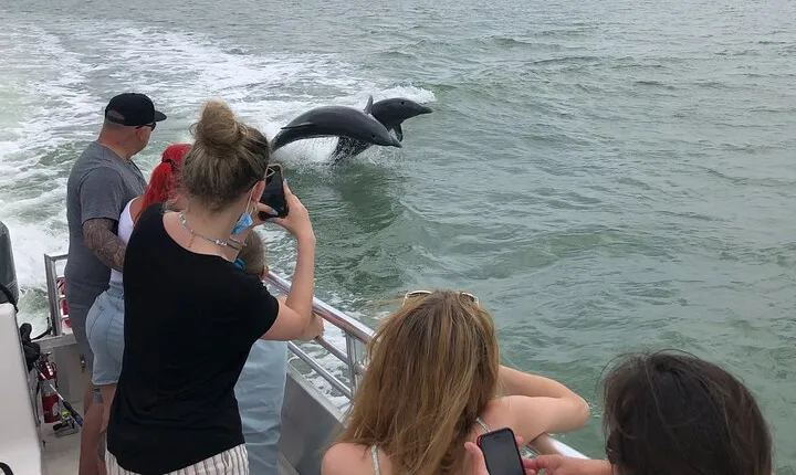 10,000 Islands Boat Excursion - 3.5-Hour Dolphins & Shelling Tour
