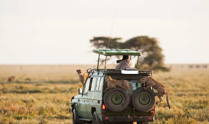 10-Day Spectacular Big 5 Wildlife Safari and Beach Holiday