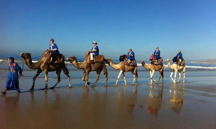 Agadir Sunset Camel Ride with Delicious Couscous & Barbecue