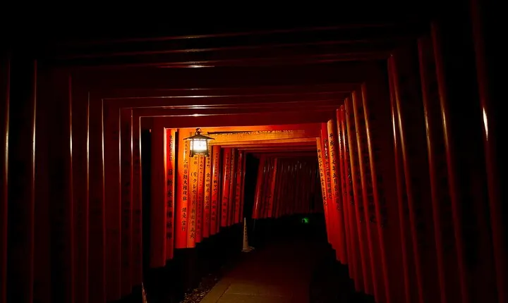 Kyoto Night Walk in Fushimi Inari with 4 Gion Area Highlights