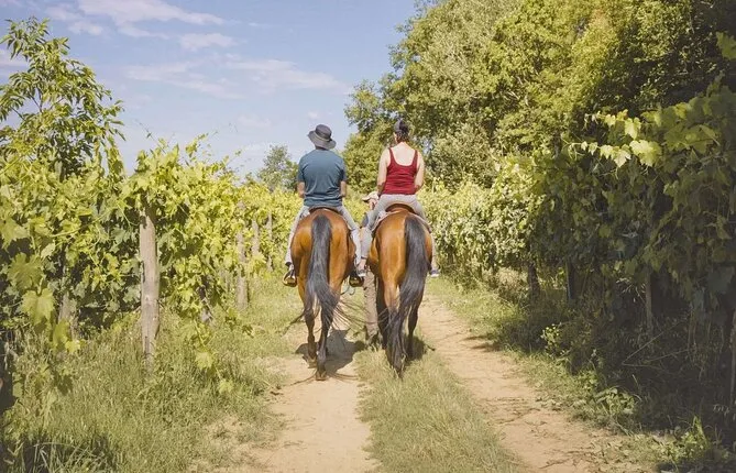 Horseback riding or carriage riding on the hills of the Valdichiana Senese in Tuscany