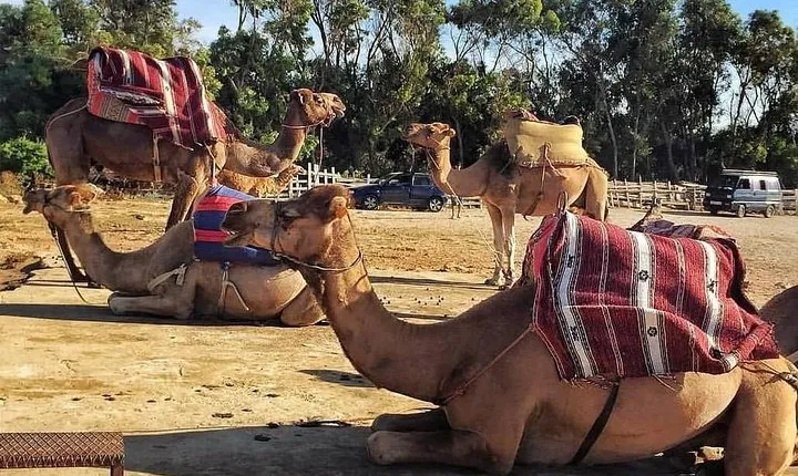 Tangier Private Day Tour