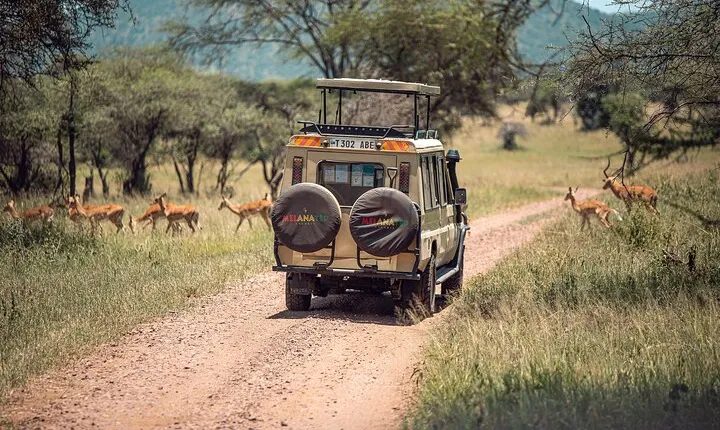 Day Trip Safari from Zanzibar to Mikumi National Park