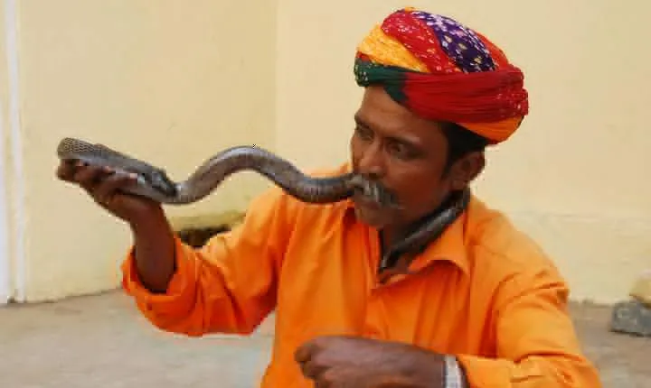 Best Deal of Golden Triangle Tour - India