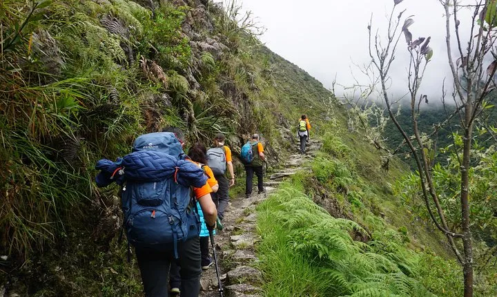 1 Day Inca Trail Tour to Machu Picchu Hike
