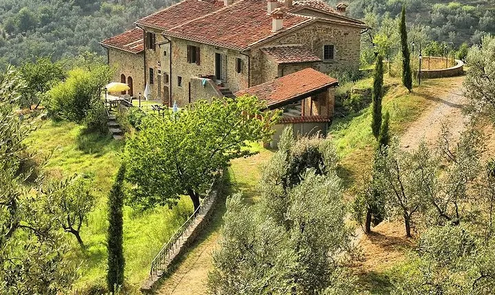 Leonardo Da Vinci 's Homeland - The Origin Of A Genius