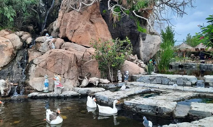 Private Tour Discover Taif City Full Day from Taif