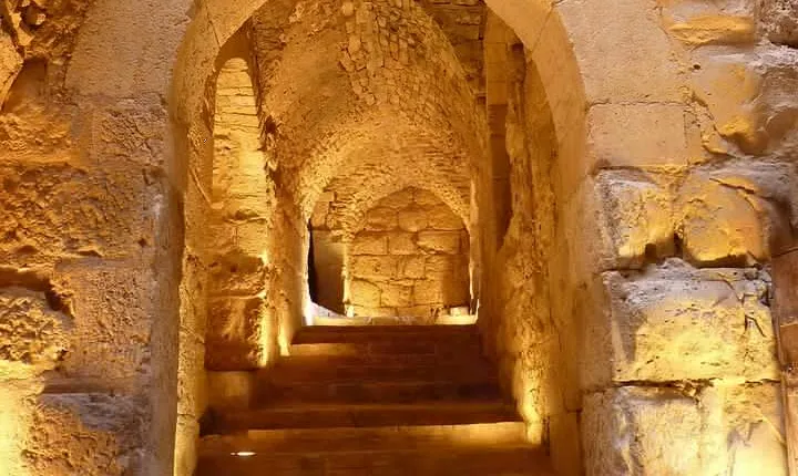 8 Days Best of Jordan Private Tour
