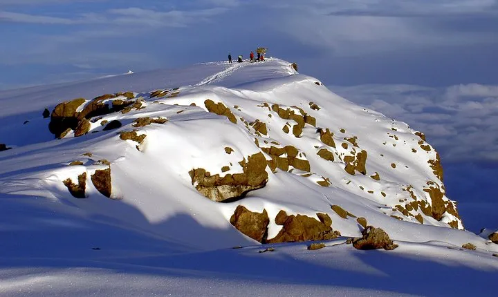 1 Day Marangu route trip up to Mandara Hut | Kilimanjaro hiking