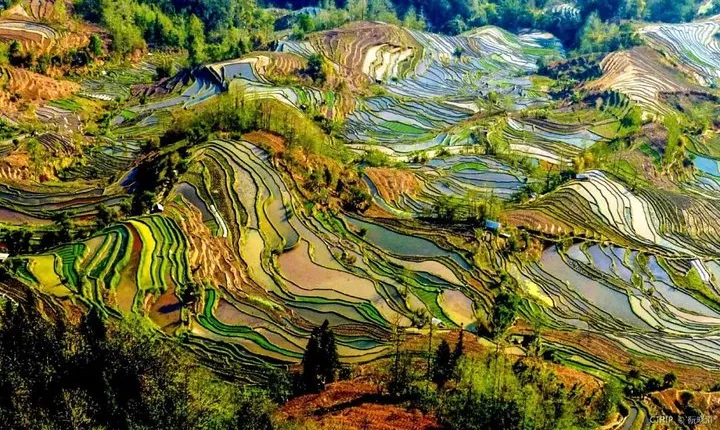 3-Day Private Tour to Jianshui and Yuanyang Hani Rice Terraces from Kunming