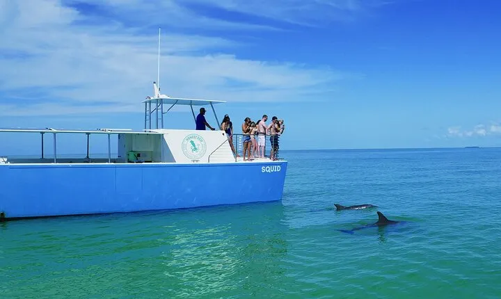 Biologist Owned & Operated: Dolphin Watching & Guided Snorkeling