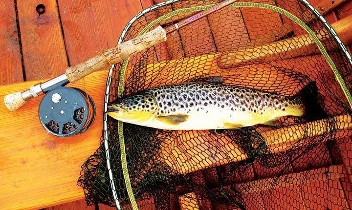 Fly fishing for wild Brown trout on Lough Corrib. Galway. Private Ghillie.