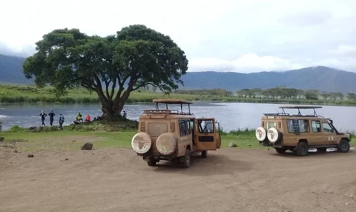 7 Days Tanzania Mid-range lodge safari
