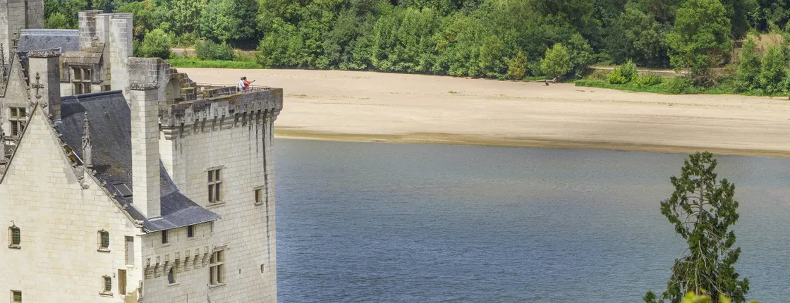 Entrance Tickets for Montsoreau Castle - Museum of contemporary art