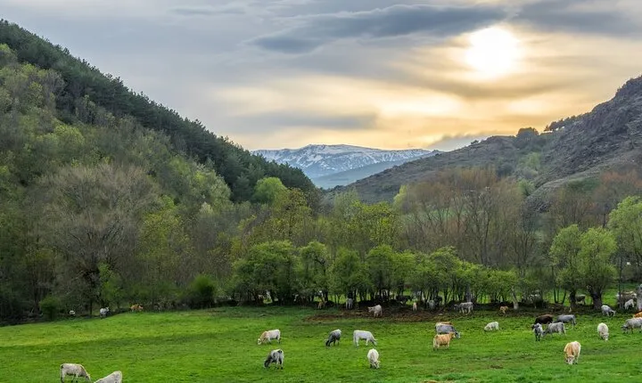 Full Day Private Guided Tour in Cerdanya