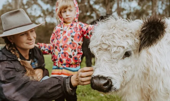 Farm Tour in Margaret River