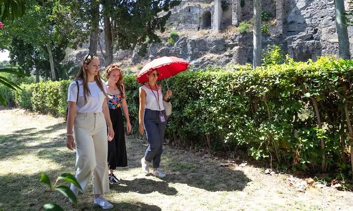 Stories of Pompeii: Small Group tour with archeology expert guide