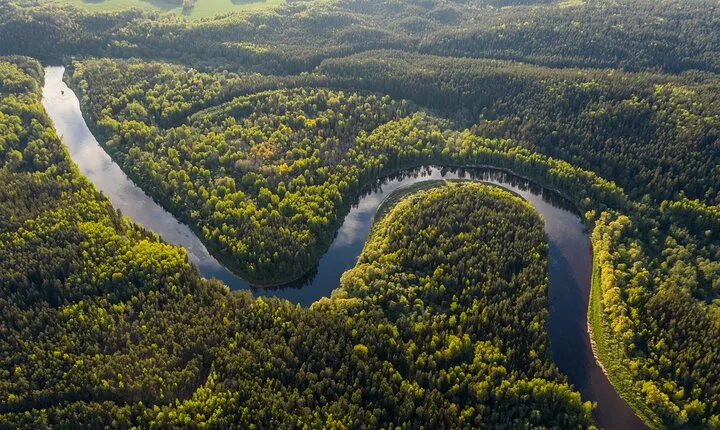 Iquitos Jungle Tour for 3 Days