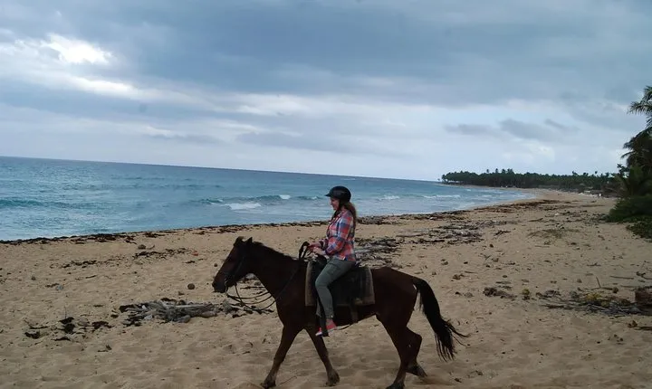 Punta Cana Horseback Riding on the Beach