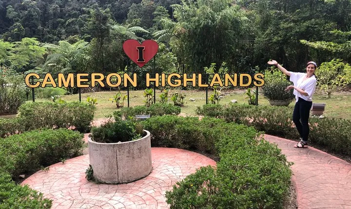 2 Days Cameron Highlands, Batu Caves & Kuala Selangor Fireflies Tour