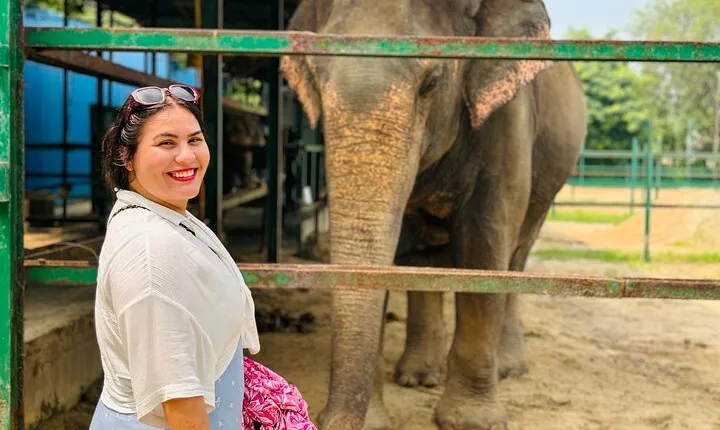 4-Day Golden Triangle Tour with Elephant SOS and Tiger Safari