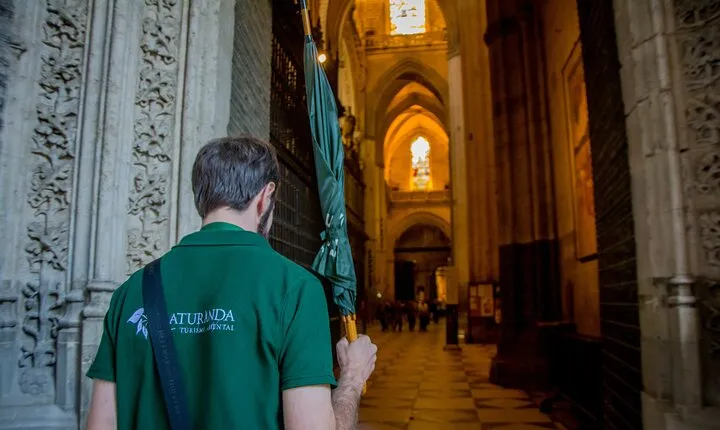 Seville Small Group Tour: Alcazar, Cathedral & Giralda