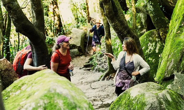 Hike in Sintra: Pena Palace, Moorish Castle, Quinta da Regaleira