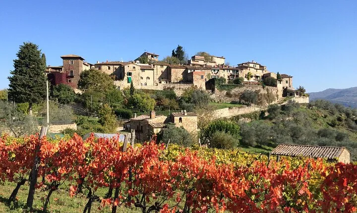 Private Siena, S. Gimignano, Chianti Road and Wine Tasting 