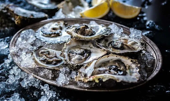 Oysters & Wine Tour From Dubrovnik (Small Group)
