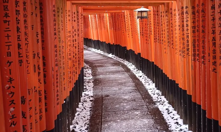 Early Half Day to Kyoto Highlights