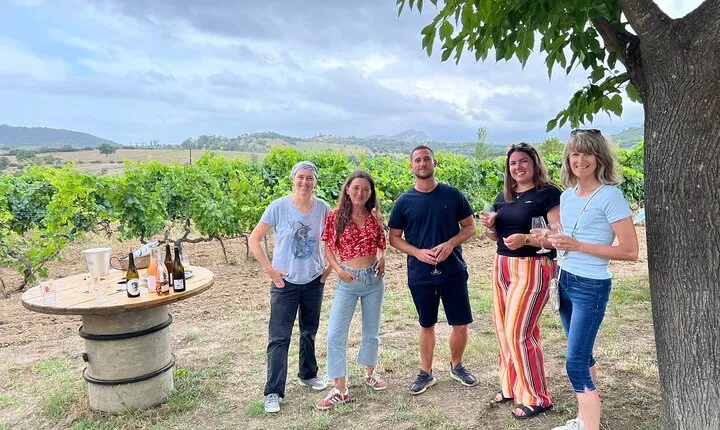 3-Hour Private Wine Tasting Tour around Ile Rousse